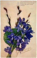 Antique Postcard 1900s K-WIN & Co Blue-Eyed Violets GREETINGS Everlasting Love picture