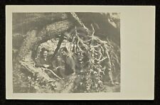 RPPC Family Posing in Tree Roots near Yacolt. Washington. C 1910's Clark County  picture