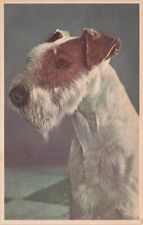 Artist Card Wirehair Fox Terrier Mainzer Vintage Postcard picture