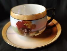 Chikaramachi Vintage Handpainted Multi Color Teacup with Saucer Made in Japan picture