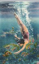 Florida Postcard Girl Diving at Silver Springs FL Unused Linen Fish Underwater picture