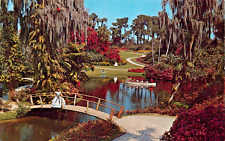 Cypress Gardens Winter Haven Florida 1950s Now Legoland Vtg Postcard CP344 picture