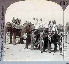 Royal Religious Elephants Jaipur India Photograph Keystone Stereoview Card picture