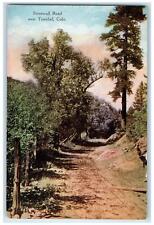 c1910s Scenic View Of Stonewall Road Near Trinidad Colorado CO Unposted Postcard picture