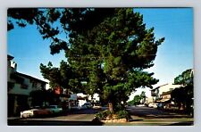 Carmel CA-California, Scenic Views Ocean Avenue, Antique Vintage Postcard picture