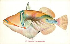 Pvt Mailing Card 17. Hawaiian Fish Humuhumu Nakunuku Unposted Island Curio Co. picture