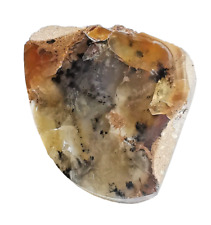 Two Side Polished Scenic Dendritic Opal, 100% Natural Stone, 600 Carat picture