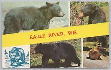 Five Scenes Of Black & Brown Bears~Eagle River Wisconsin~Plastichrome~PM 1968 PC picture