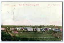 1909 Bird's Eye View Of Levering Michigan MI Posted Antique Postcard picture