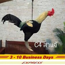 1 C4 Rooster Silicone Doll Figurine Exercise Fighter Collectibles Thai Handcraft picture