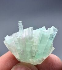 53Cts Bunch Of Tourmaline Crystal With Quartz from Afghanistan picture
