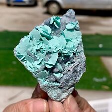 95G Rare Natural antlerite and druzy sphalerite crystal Mineral Museum level picture