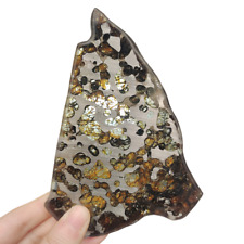 99.2g Brenham pallasite Meteorite slice - from USA TA53 picture