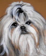 Shih Tzu Dog Original Painting by Monique 9x12 SWEET (Painting Only) picture