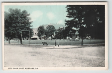 Postcard Vintage City Park in Allegheny, PA. picture