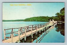 Hello From Marcell MN-Minnesota, Scenic Lake View, Bridge Vintage Postcard picture