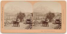 CALIFORNIA SV - Mount Shasta & Stagecoach - BW Kilburn c1905 RARE picture