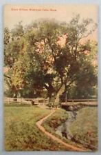 Giant Willow, Middlesex Falls, MA Massachusetts Postcard (#6926) picture