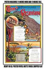 11x17 POSTER - 1893 Vesuvius Funicular picture
