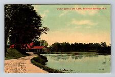 Sarasota Springs NY-New York, Vichy Spring and Lake, Vintage Postcard picture