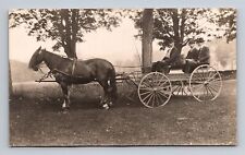 RPPC Postcard Three Men in Horse Drawn Buggy Huge Horse picture
