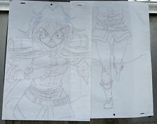 Slayers Anime Genga Cel Drawing Sketch Lina Inverse Large Pan picture