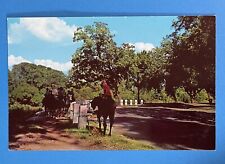 Waco TX Texas Horse-Back Riding Bridle Path Cameron Park Vintage Postcard picture