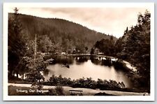 Triberg Germany the Mountian Lake  Postcard RPPC picture