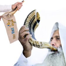 Handcrafted Kosher Ram Shofar from Israel – 14