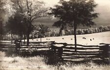 Postcard RPPC Cows Pasture Split Rail Fence Quiet Beauty Ozarks Missouri DOPS picture