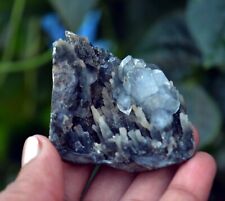 APOPHYLLITE On CHALCEDONY Coral-Matrix Minerals J-1.24 picture