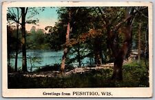Vtg Greetings from Peshtigo Wisconsin WI Marinette County Scenic View Postcard picture
