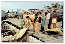 c1960's Visitors To The Beautiful Island Turtle Claws Key West Florida Postcard picture