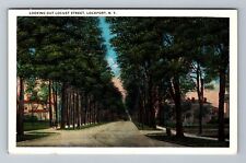 Lockport NY-New York, Looking Out Locust Street Vintage Souvenir Postcard picture
