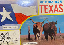 Greetings From Texas Flag Longhorn Vintage Postcard Used 1960s picture