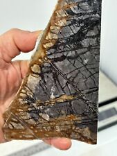 Large Picasso Marble (Jasper) Slab Cabbing Lapidary Utah Combo Ship Avail picture