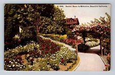CA-California, Garden Scene In Midwinter, Antique, Vintage Postcard picture