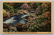 Postcard - Scene on Little Pigeon River, Great Smoky Mountains National Park picture