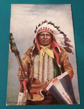 ANTIQUE CHIEF EAGLE TRACK BY RAPHAEL TUCK NATIVE AMERICAN POSTCARD NATIVE DRESS picture