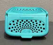 TUPPERWARE Small Onion And Garlic Smart Keeper Black & Teal BRAND NEW picture