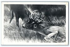 c1950's Deer Fighting Baldwin Michigan MI Unposted Antique RPPC Photo Postcard picture