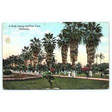 Postcard A Walk Among the Palm Trees California picture