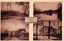 Blissfield Michigan Triple Bridge Railroad Train Sugar Factory Vtg Postcard A4 picture