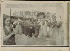 1970 Press Photo Donna Lee and her brother Roy hang puppies on a clothesline picture