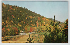 Postcard State Route 36 Cooksburg, PA Cook Forest State Park picture