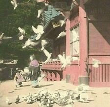 Hachiman Temple Kamakura Birds Japan Japanese Tinted Colored Vintage Postcard picture