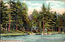 View From Water, Cottages on Sunset Lake Williamsville VT c1909 Vtg Postcard C23 picture