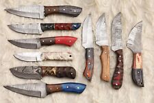 LOT OF 10 PCS HANDMADE DAMASCUS STEEL BLADE MIX SKINNER  HUNTING KNIFE # H-32 picture