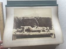 10 Antique Albumen Pompeii Vesuvius Antiquities Excavation Photos Italy 1860/70 picture