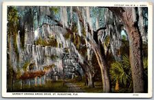Vtg St Augustine Florida FL Garnett Orange Grove Drive Spanish Moss Postcard picture